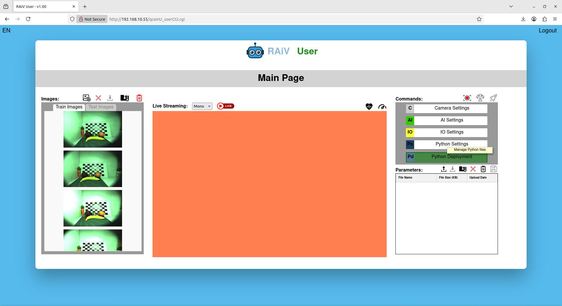 RAiV User Page with Python Deployment Panel Opened